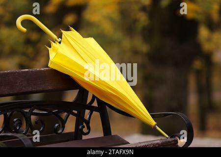 Parapluie jaune sur banc dans le parc d'automne Banque D'Images