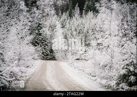 La route de service de la forêt de la rivière Soo, dans l'ouest de la Colombie-Britannique, près de Whistler, en Colombie-Britannique, traverse la forêt d'hiver encroûtée de glace et de neige. GRA couvert de neige Banque D'Images