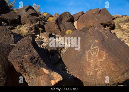 Petroglyph, Piedras Marcadas Unité Canyon, Monument national Petroglyph, Nouveau Mexique Banque D'Images