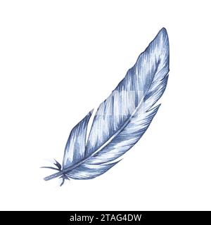 Plume d'oiseau aquarelle. Plume isolée sur blanc. Plume d'oiseau dessinée à la main pour la conception d'impression, les textiles et d'autres produits Banque D'Images