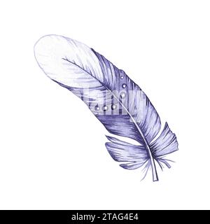 Plume d'oiseau aquarelle. Plume isolée sur blanc. Plume d'oiseau dessinée à la main pour la conception d'impression, les textiles et d'autres produits Banque D'Images