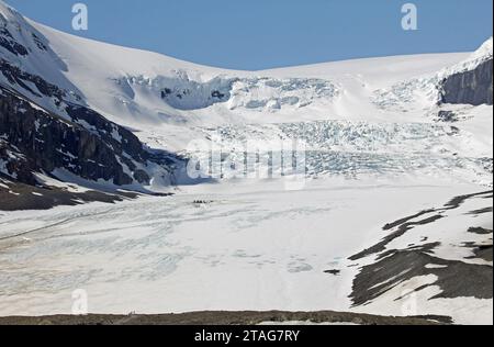 Vue de la moraine terminale à Athabasca, Canada Banque D'Images