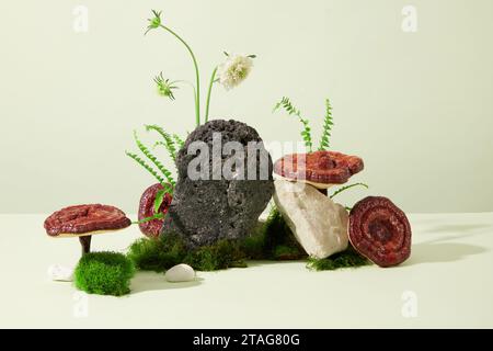 Vue de face des champignons Ganoderma placés à côté de rochers et de fleurs sauvages sur un fond blanc. Espace exquis pour les produits publicitaires avec ingrédient Banque D'Images