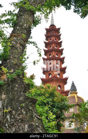 Une pagode à plusieurs niveaux tourne vers le ciel à côté d'un arbre antique dans un temple bouddhiste à Hanoi, Vietnam. Des figures blanches de Bouddha peuvent être vues à chaque niveau Banque D'Images