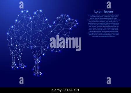 Chameau, deux - bosse, à partir de lignes bleues polygonales futuristes et des étoiles brillantes pour bannière, affiche, carte de voeux. Illustration vectorielle. Illustration de Vecteur
