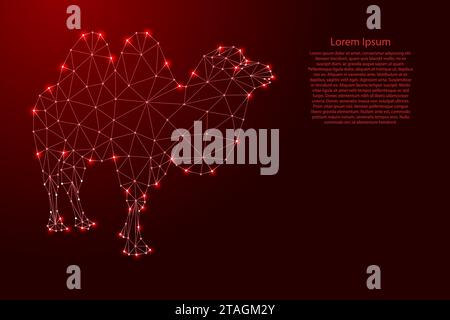 Chameau, deux - bosse, à partir de lignes rouges polygonales futuristes et des étoiles brillantes pour bannière, affiche, carte de voeux. Illustration vectorielle. Illustration de Vecteur