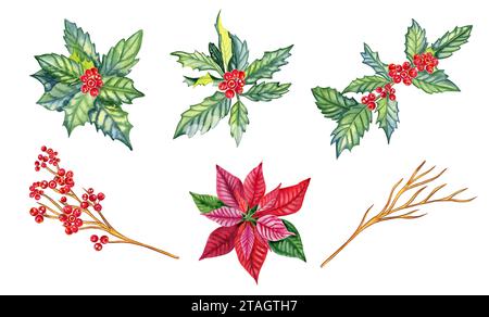 Branches de houx vert avec illustration aquarelle de baies rouges grand ensemble. Branches d'arbre de Noël dessinées à la main et poinsettia sur un fond isolé. Banque D'Images