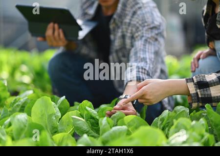 Jeunes cultivateurs abattus qui examinent les plantes dans une serre. Concept agro-alimentaire et éco-agriculture Banque D'Images