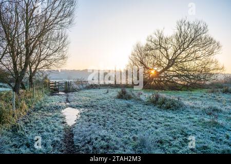 Avon Valley, New Forest, Hampshire, Royaume-Uni, 1 décembre 2023 : Météo. Givré commence à hiverner à la campagne. Gel dur le premier matin de l'hiver météorologique. Crédit : Paul Biggins/Alamy Live News Banque D'Images