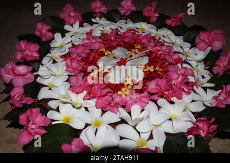 Belles décorations florales flottantes faites dans un grand pot plat en argile. Décoration florale dans l'eau avec Plumeria et Oleander fleurs avec Hibiscus en cent Banque D'Images