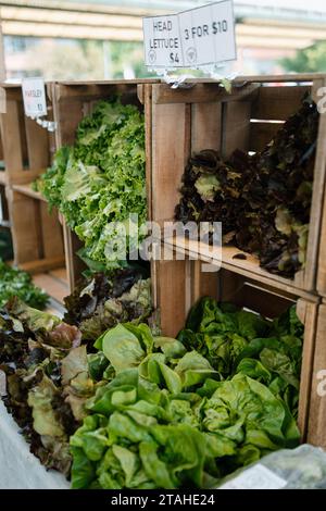 Laitue et autres légumes verts en vente au marché fermier Banque D'Images