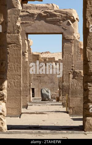 Anciens hiéroglyphes sur les murs de Kom Ombo, Assouan Banque D'Images