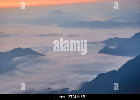 Brouillard tôt le matin sur la montagne à Phu Chi Fah en Thaïlande Banque D'Images