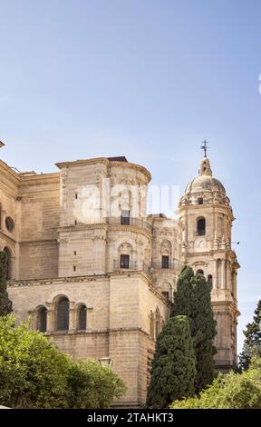 l'extérieur de la cathédrale catholique romaine à malaga andalousie espagne Banque D'Images