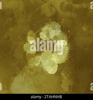 Abstrait décoratif et fond orange ou jaune vif avec de la peinture, des nuances d'aquarelle jaune ou orange brillantes et brillantes avec fond grunge avec spa Banque D'Images