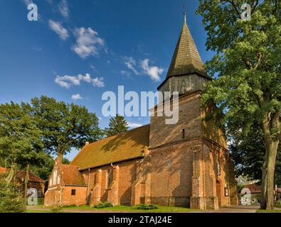 Église Sainte Elisabeth de Hongrie, gothique, 14e siècle, à Lubieszewo dans la dépression de Zulawy fens, Pomorskie, Pologne Banque D'Images