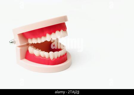 Prothèses sur fond blanc, pose plate, mâchoire échantillon. Prothèses dentaires ou fausses dents, gros plan Banque D'Images