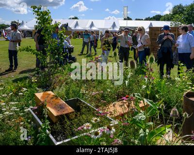 Entrée au concours Elements Urban Terrace Garden (plantes vivaces herbacées, banc bas sur mesure) - RHS Tatton Park Flower Show 2023, Cheshire, Angleterre, Royaume-Uni. Banque D'Images