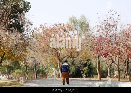 Islamabad, Pakistan. 1 décembre 2023. Un homme marche dans le parc Fatima Jinnah à Islamabad, capitale du Pakistan, le 1 décembre 2023. Crédit : Ahmad Kamal/Xinhua/Alamy Live News Banque D'Images