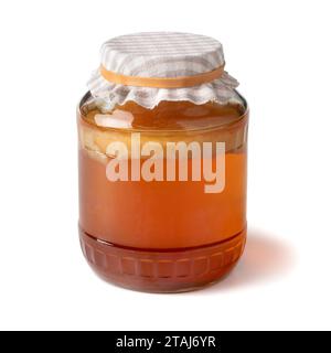 Pot en verre avec un champignon de thé Kombucha, scoby pour produire la boisson Kombucha isolé sur fond blanc en gros plan Banque D'Images