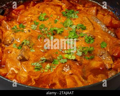 Goulash rapide (Goulash dans un tiret), gros plan Banque D'Images