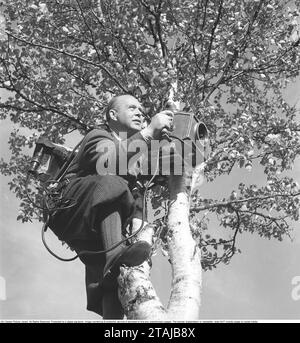 Directeur de la photographie dans les années 1940 Gustaf Boge, 1891-1975, directeur de la photographie suédois. Principalement connu pour le tournage pour l'industrie cinématographique suédoise et sa revue SF qui était un court métrage où les nouvelles et les événements étaient documentés dans un type de film documentaire. Il était montré dans les cinémas généralement avant un long métrage. Ici, Gustaf Boge est vu lors d'une mission cinématographique à Vålådalen, où il soulève la caméra dans le meilleur style de sniper. 1942. Kristoffersson réf. B63-1 Banque D'Images