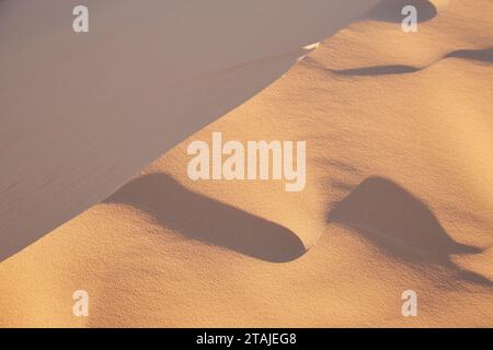 Le superbe parc national Coral Pink Sand Dunes dans le sud de l'Utah Banque D'Images