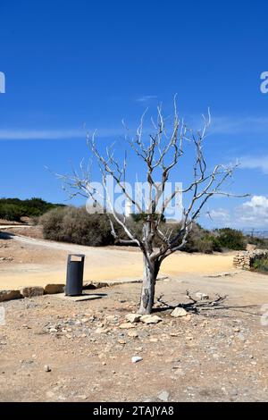 Paphos, Chypre - 02 octobre 2023 : Parc archéologique de Kato Paphos - un site du patrimoine mondial de l'UNESCO, Paphos alias Pafos a été capitale européenne de la culture Banque D'Images