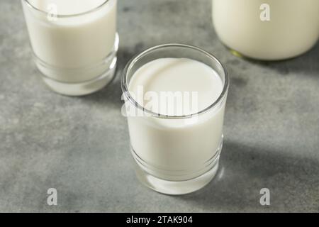 Lait de vache entier nourri d'herbe biologique dans un verre Banque D'Images