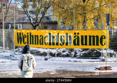 01.12.2023, Berlin, Verkauf von Weihnachtsbäume *** 01 12 2023, Berlin, Vente d'arbres de Noël crédit : Imago/Alamy Live News Banque D'Images