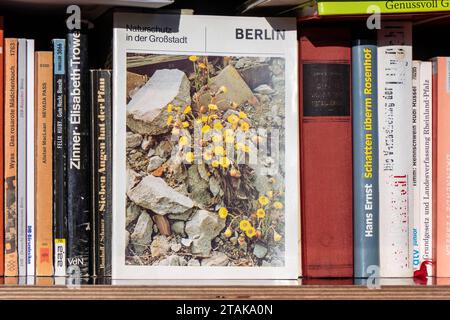 01.12.2023, Berlin, eine Bücherbox Telefonzelle Haus der Jugend Anne Frank in der Mecklenburgische Straße im Bezirk Wilmersdorf.Buch - Naturschutz in der Großstadt *** 01 12 2023, Berlin, une boîte à livres boîte de téléphone Maison des jeunes Anne Frank à Straße mecklembourgeoise dans le district de Wilmersdorf conservation des livres dans la grande ville crédit : Imago/Alamy Live News Banque D'Images