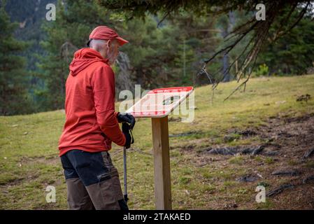 Itinéraire - itinéraire de la forêt de sapins de Riu, depuis le Serrat de les Esposes, dans la chaîne de montagnes de Moixeró (Cerdanya, Catalogne, Espagne, Pyrénées) Banque D'Images