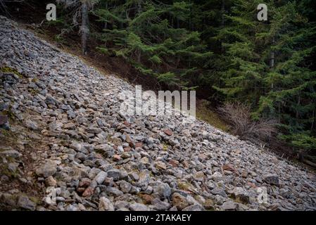 Itinéraire - itinéraire de la forêt de sapins de Riu, depuis le Serrat de les Esposes, dans la chaîne de montagnes de Moixeró (Cerdanya, Catalogne, Espagne, Pyrénées) Banque D'Images