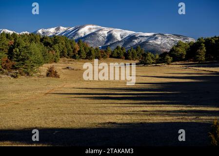 Itinéraire des points de vue du Pla de l'Àliga depuis Estana. En arrière-plan, la Carabassa (Cerdanya, Catalogne, Espagne, Pyrénées) Banque D'Images