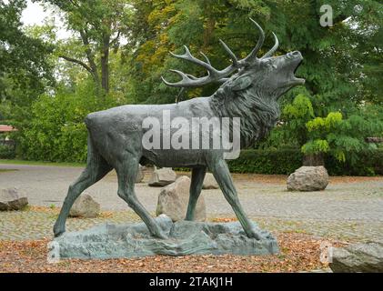Bronze Skulptur Hirsch, Tierpark, Puschkinallee, Angermünde, Brandenburg, Deutschland Banque D'Images