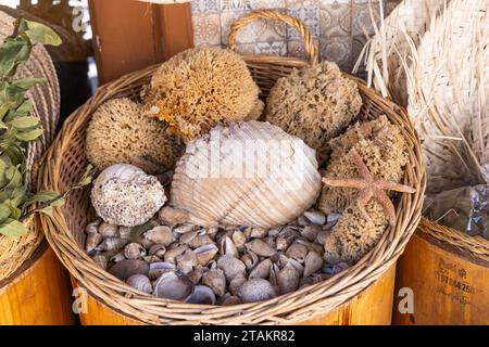 Houmt Souk, Djerba, Médenine, Tunisie. Coquillages et éponges naturelles dans un marché au Souk de Houmt. Banque D'Images