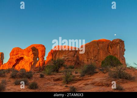 Parade des formations rocheuses de grès des éléphants au lever du soleil dans le parc national d'Arches, dans l'Utah. Banque D'Images