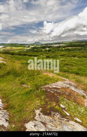 Vue de Gwaith Powdwr North Wales Wildlife Trust nature Reserve vers la marée afon ou la rivière Drywyd, Eryri ou Snowdonia parc national, pays de Galles, lan Banque D'Images