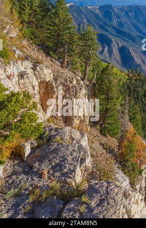 Vue sur la forêt nationale de Cibola et les montagnes de Sandia depuis le tramway aérien de Sandia Peak au Nouveau-Mexique. Banque D'Images