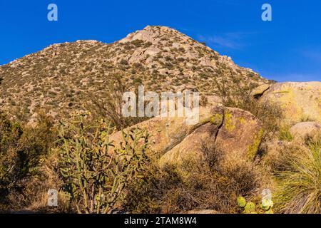 Vue sur la forêt nationale de Cibola et les montagnes de Sandia depuis le tramway aérien de Sandia Peak au Nouveau-Mexique. Banque D'Images