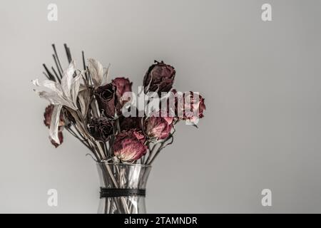 Gros plan roses séchées dans le décor de chambre vase Banque D'Images
