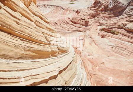 L'extraordinaire White Pocket dans le nord de l'Arizona est l'une des merveilles géologiques les plus uniques au monde Banque D'Images