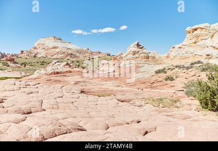 L'extraordinaire White Pocket dans le nord de l'Arizona est l'une des merveilles géologiques les plus uniques au monde Banque D'Images