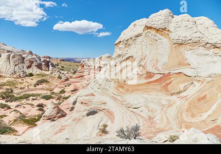 L'extraordinaire White Pocket dans le nord de l'Arizona est l'une des merveilles géologiques les plus uniques au monde Banque D'Images