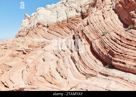L'extraordinaire White Pocket dans le nord de l'Arizona est l'une des merveilles géologiques les plus uniques au monde Banque D'Images
