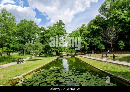 Craiova, Roumanie, 28 mai 2022 : Paysage vif dans le parc Nicolae Romaescu dans le comté de Dolj, avec lac, nénuphars et grands tres verts dans un beau s. Banque D'Images