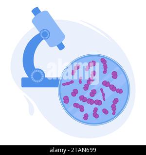 Streptococcus bacteria, illustration conceptuelle. Banque D'Images