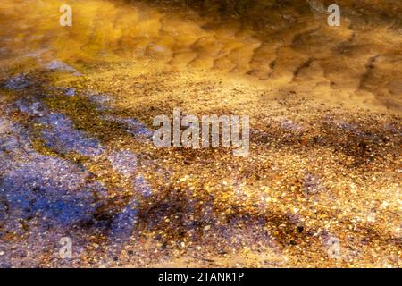 petits cailloux dans le sable visibles à travers l'eau de rivière de couleur brune Banque D'Images