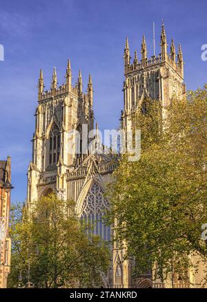 Les tours jumelles de l'ouest face à York Minster s'étendent jusqu'au ciel. Les arbres automnaux sont au premier plan et un ciel clair est au-dessus. Banque D'Images