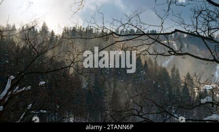 Beau paysage de soleil brillant sur la forêt d'hiver poussant dans les montagnes couvertes de neige. Paysage hivernal, temps froid, blizzard et tempête Banque D'Images